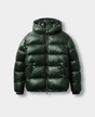 Groen